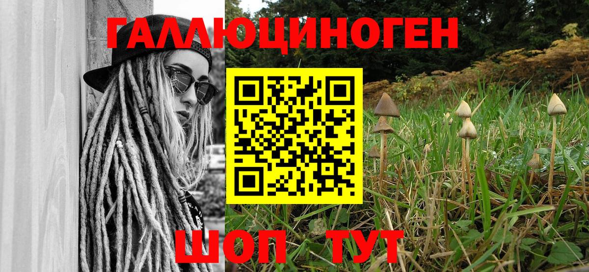 Калининград  Галлюциногенные грибы мухоморы  Вход с VPN 